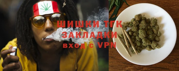 a pvp Алзамай