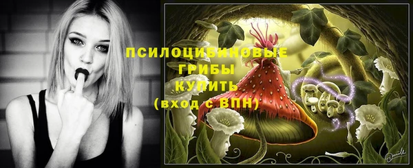 экстази Белая Холуница