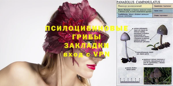 a pvp Алзамай