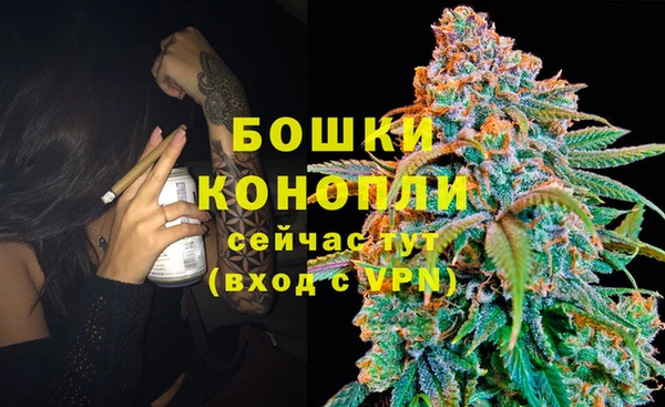 apvp Арсеньев