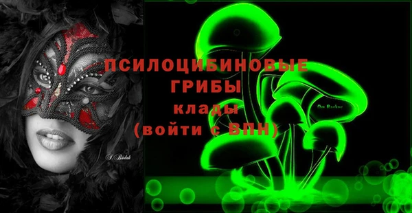 apvp Арсеньев