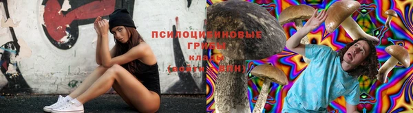 apvp Арсеньев