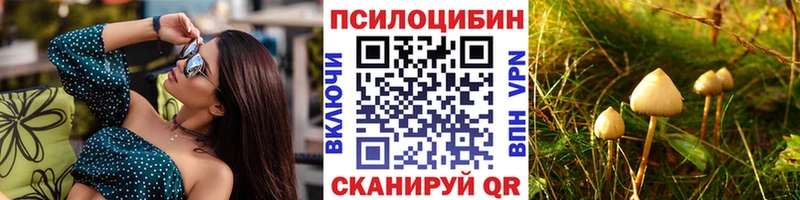 купить наркотики цена  кракен маркетплейс  Псилоцибиновые грибы Psilocybe  Белоярский 